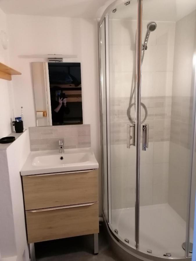 Studio Montagne A La Pierre St Martin Arette Ngoại thất bức ảnh